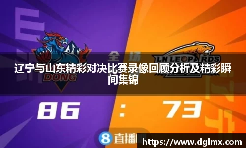 3377体育