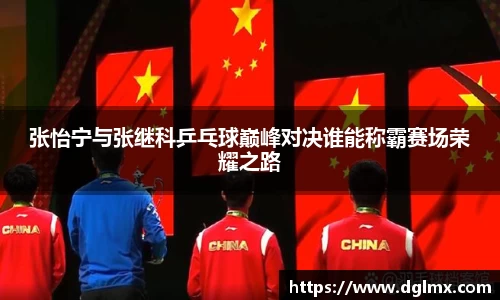 张怡宁与张继科乒乓球巅峰对决谁能称霸赛场荣耀之路