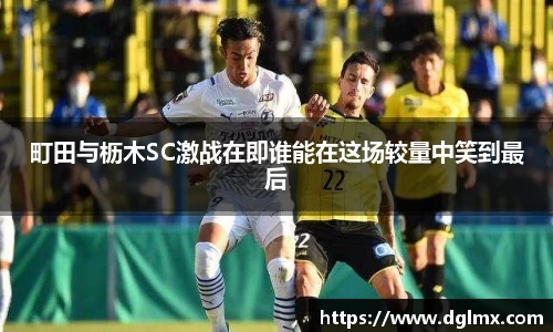 3377体育平台